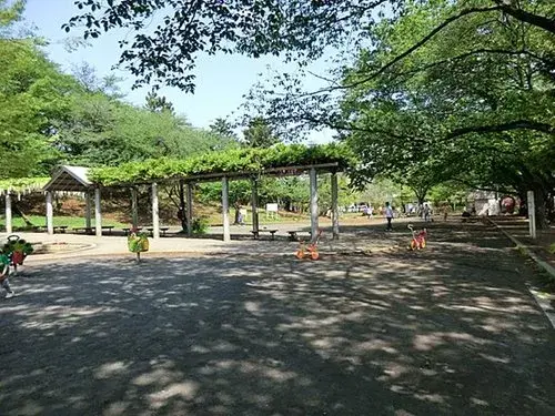 Slide 6