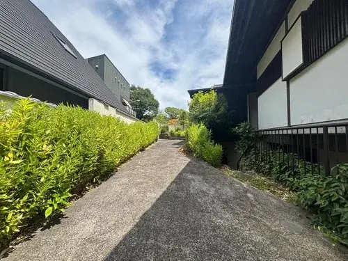 Slide 4