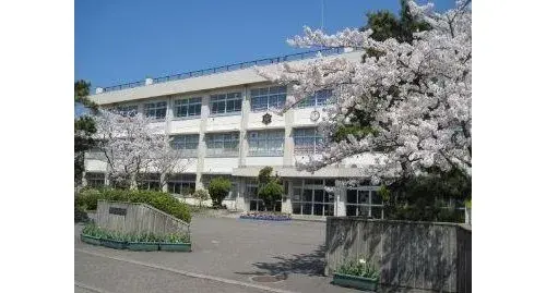 Slide 8
