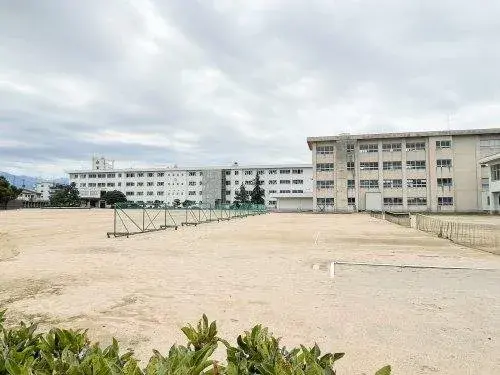 Slide 11