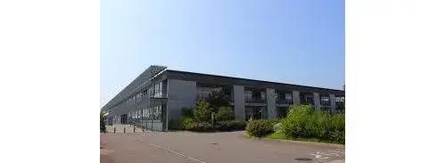 Slide 5