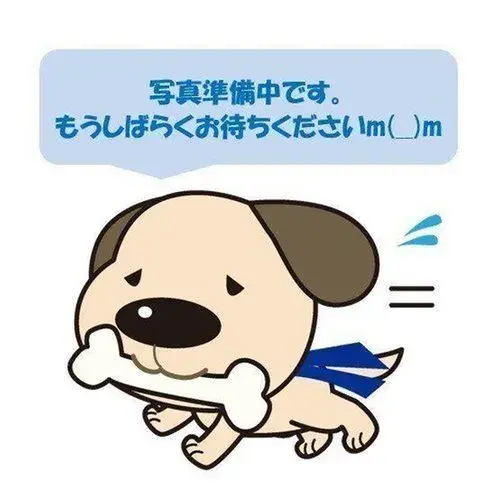 Slide 16