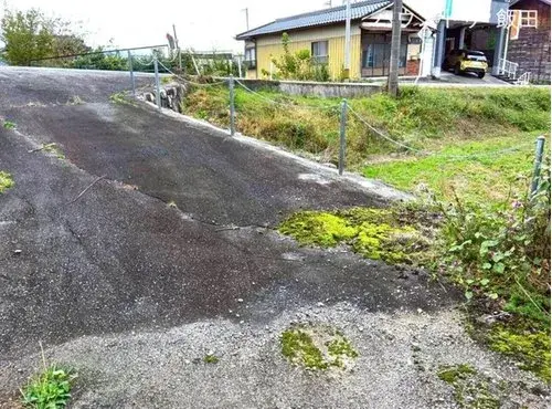 Slide 8