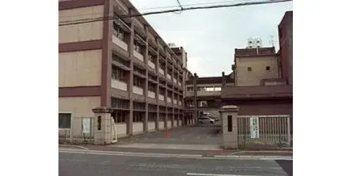 Slide 7