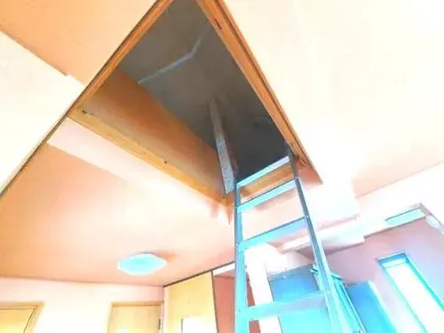 Slide 9