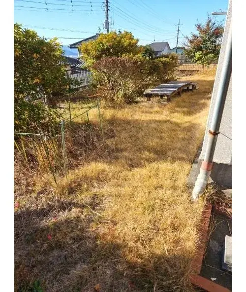 Slide 7