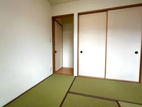 Slide 5