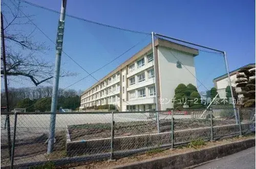 Slide 0