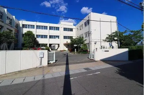 Slide 7