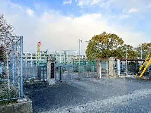 Slide 4