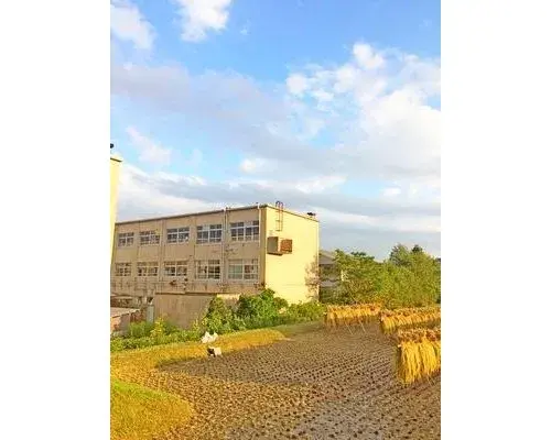 Slide 9