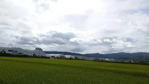 Slide 4