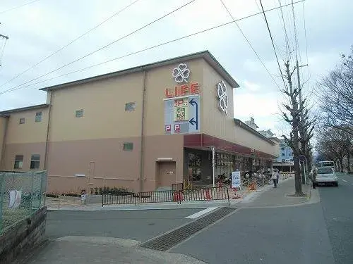 Slide 8