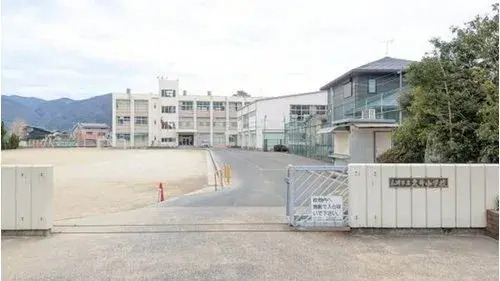 Slide 17