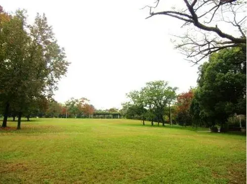 Slide 20