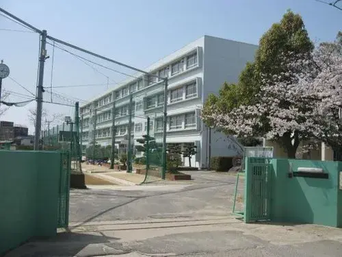 Slide 7