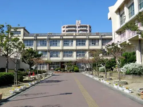 Slide 5