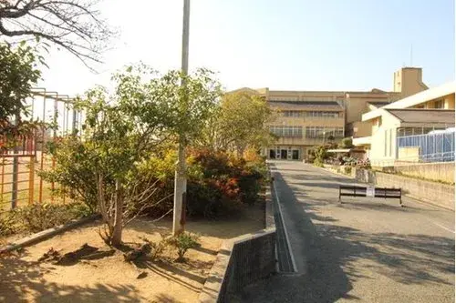 Slide 19
