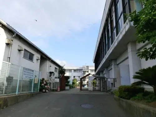 Slide 4