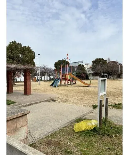 Slide 8
