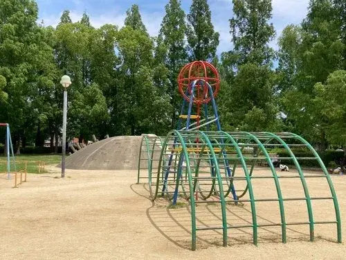 Slide 24
