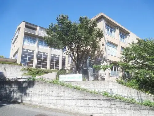 Slide 21