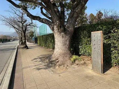 Slide 5