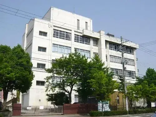Slide 6