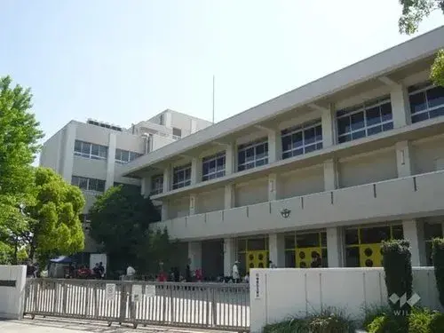 Slide 7