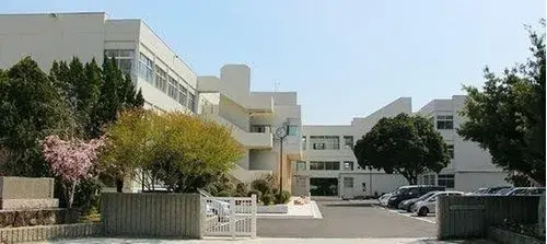 Slide 17