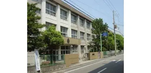 Slide 8