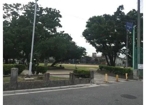 Slide 8