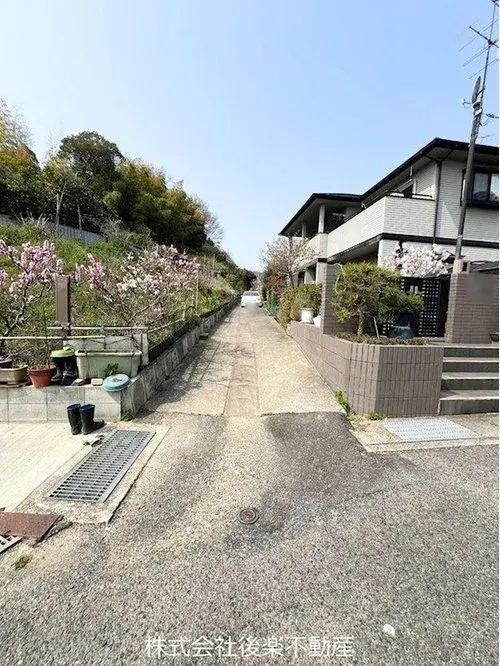 Slide 0