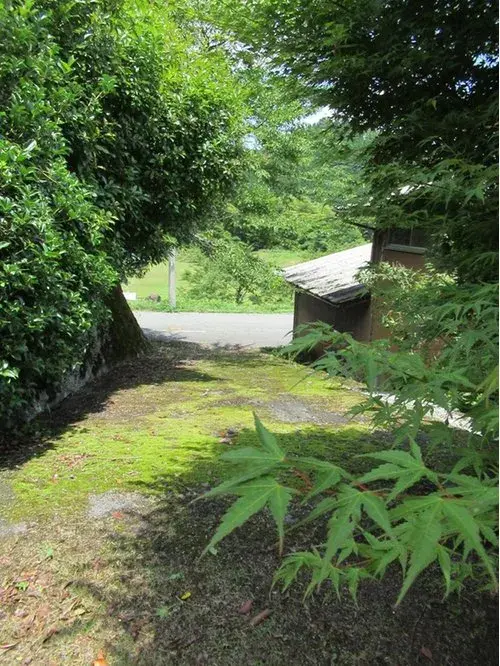 Slide 17