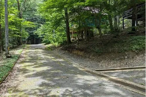 Slide 15