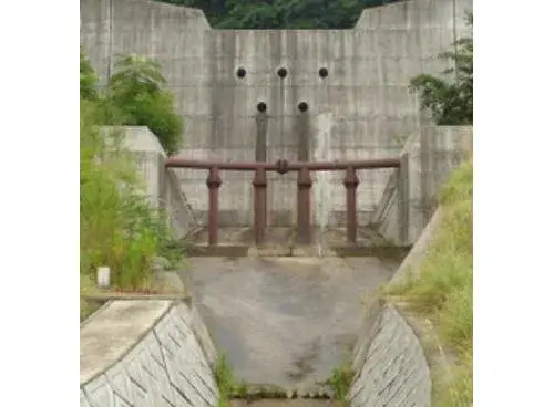 Slide 21