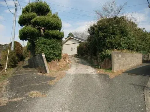Slide 5