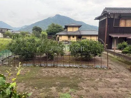 Slide 6