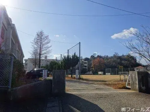 Slide 8