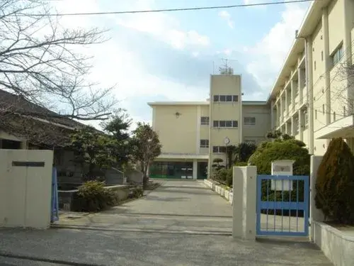 Slide 7
