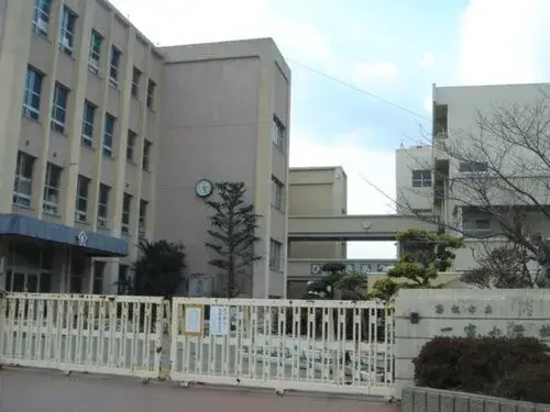 Slide 8