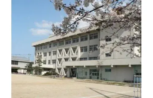 Slide 17
