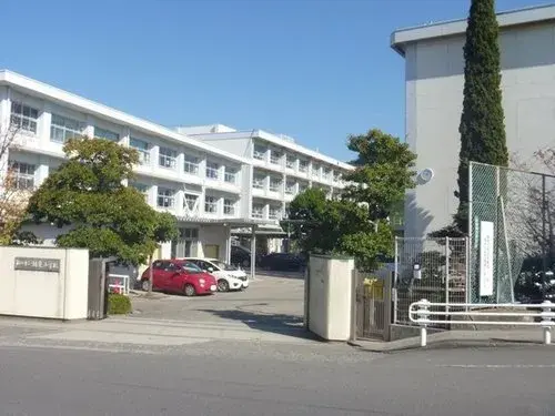 Slide 11