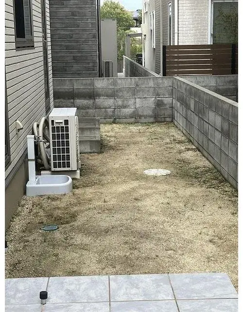 Slide 6