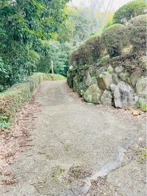 Slide 12