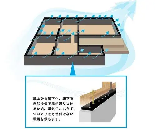 Slide 12