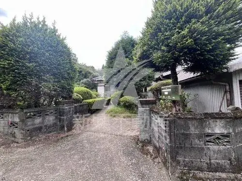 Slide 5