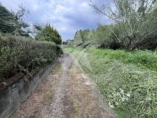 Slide 7