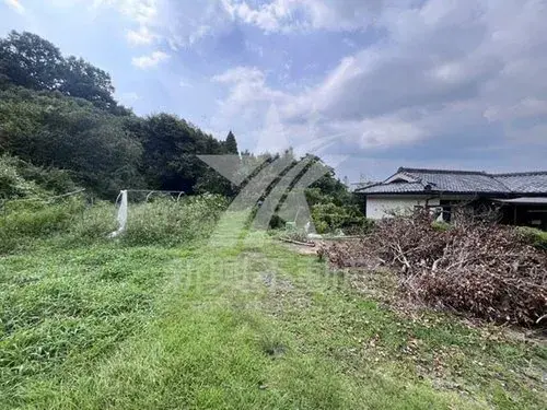 Slide 8