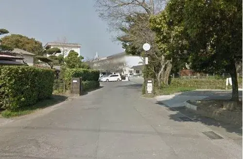 Slide 8